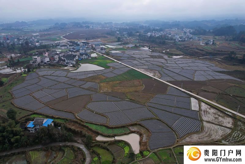 徐麟在黔东南州调研(图3)