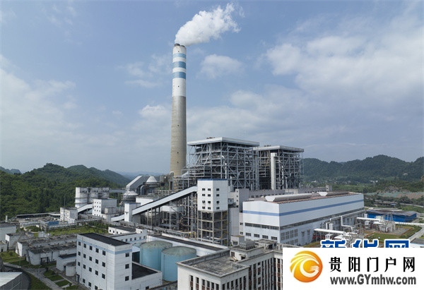 张铭代表：以“3+6+1”产业组合推进金沙强县计划(图3)