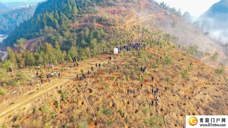 铜仁市2024年义务植树活动举行(图3)