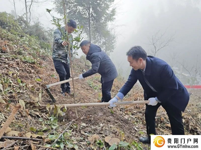 “植”此青绿 不负青山 贵州各地开展义务植树活动(图6) “植”此青绿 不负青山 贵州各地开展义务植树活动(图6)