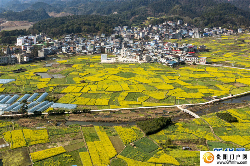 贵州从江：和美乡村春意浓(图3)
