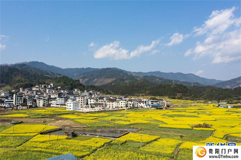 贵州从江：和美乡村春意浓(图6)