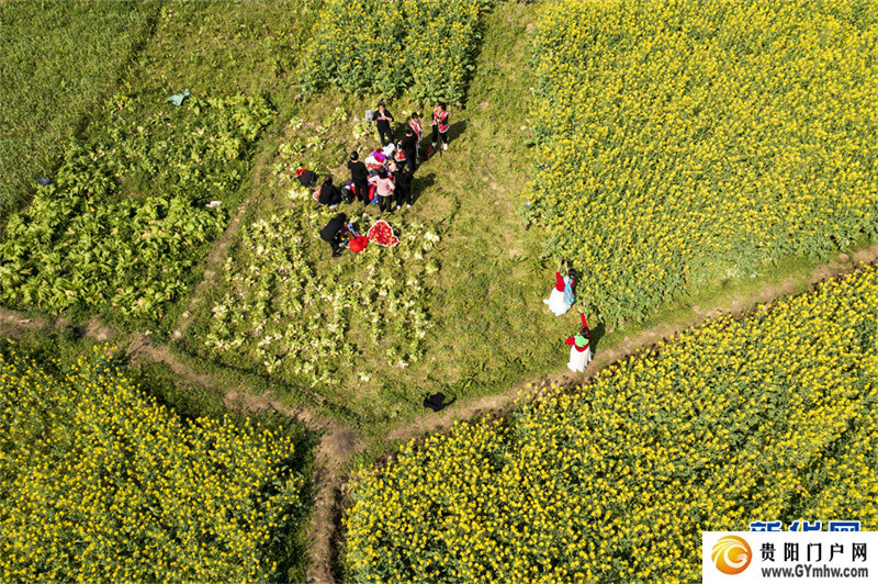贵州从江：和美乡村春意浓(图7)