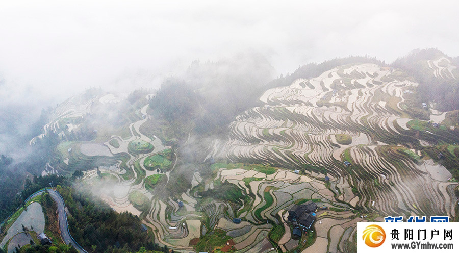 贵州从江:雾漫梯田(图3) 贵州从江:雾漫梯田(图3)