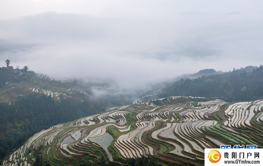 贵州从江:雾漫梯田(图6) 贵州从江:雾漫梯田(图6)
