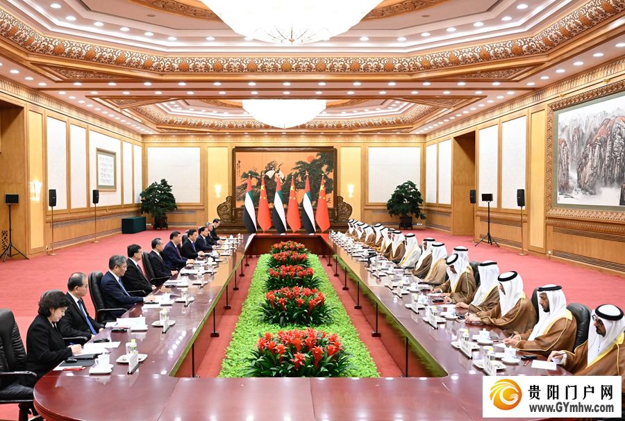 习近平同阿联酋总统穆罕默德会谈(图3)