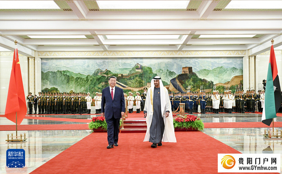 习近平同阿联酋总统穆罕默德会谈(图8)