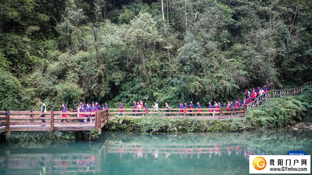 探洞研学欢乐多(图6)