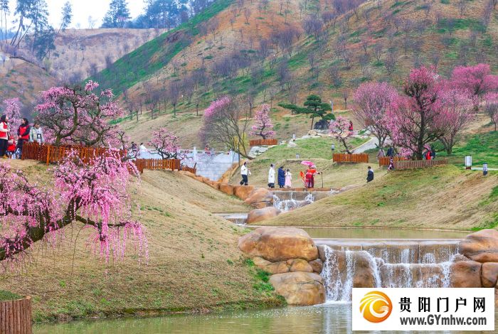本周六开园!贵州梅园游玩攻略(图5) 本周六开园!贵州梅园游玩攻略(图5)