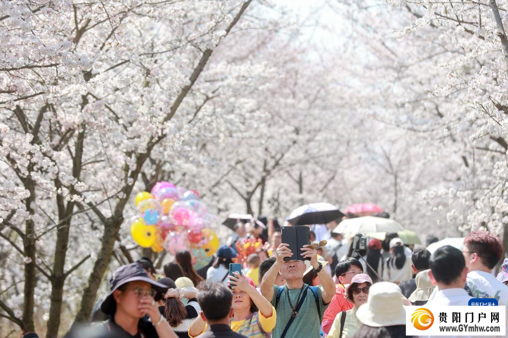 从“剧效应”到“花经济” 春日文旅消费市场活力满满(图8)