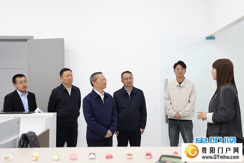 胡忠雄在云岩区调研安全生产、产业发展等工作(图1)