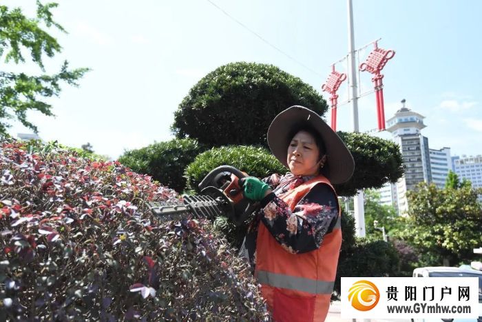 南明区：扮靓城市颜值 喜迎中国旅游日(图9)