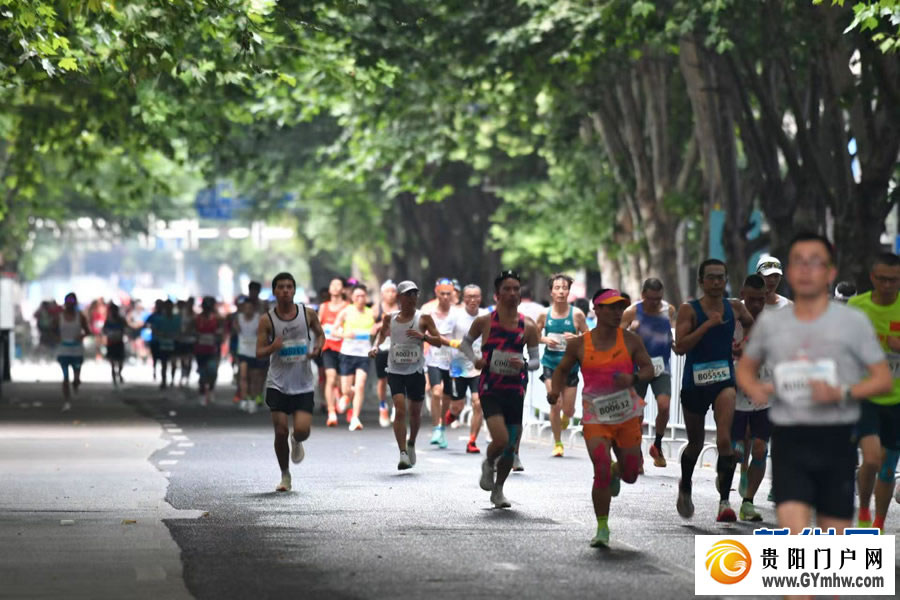 奔跑在19℃的夏天 “六马”跑出体旅融合发展“加速度”(图2)