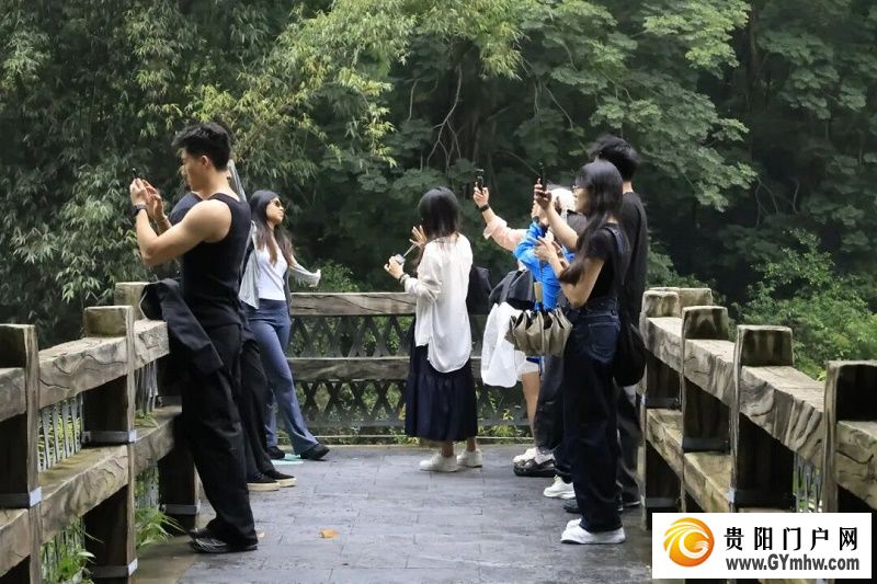 “500万+”成常态！ 黄果树景区游客量三年连增(图6)