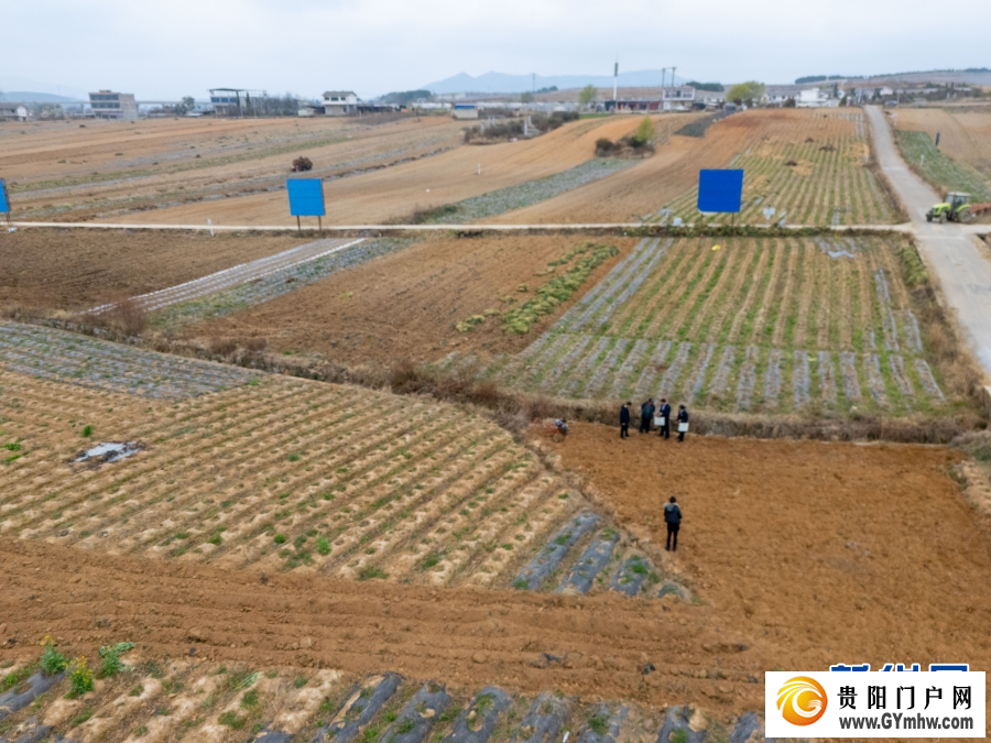 2026年贵州早春茶产销对接会在晴隆举行(图2) 2026年贵州早春茶产销对接会在晴隆举行(图2)