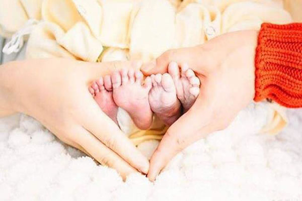 试管能移植一个囊胚一个冻胚吗？胚胎移植先移植冻胚还是囊胚(图1)